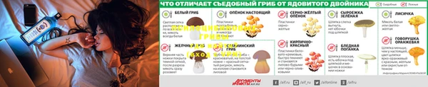 jwh Алексин