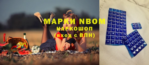 эйфоретик Алзамай