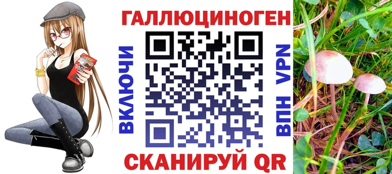 Псилоцибиновые грибы мицелий  Нововоронеж 